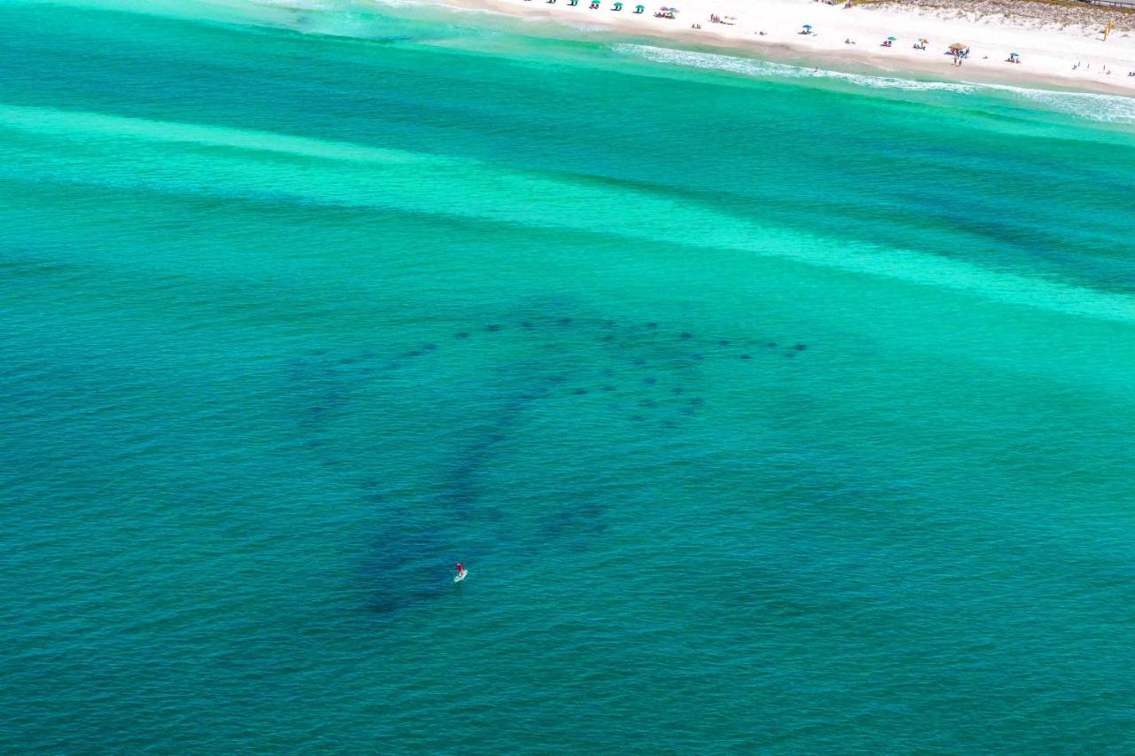 Little House On The Beach Destin Exterior foto